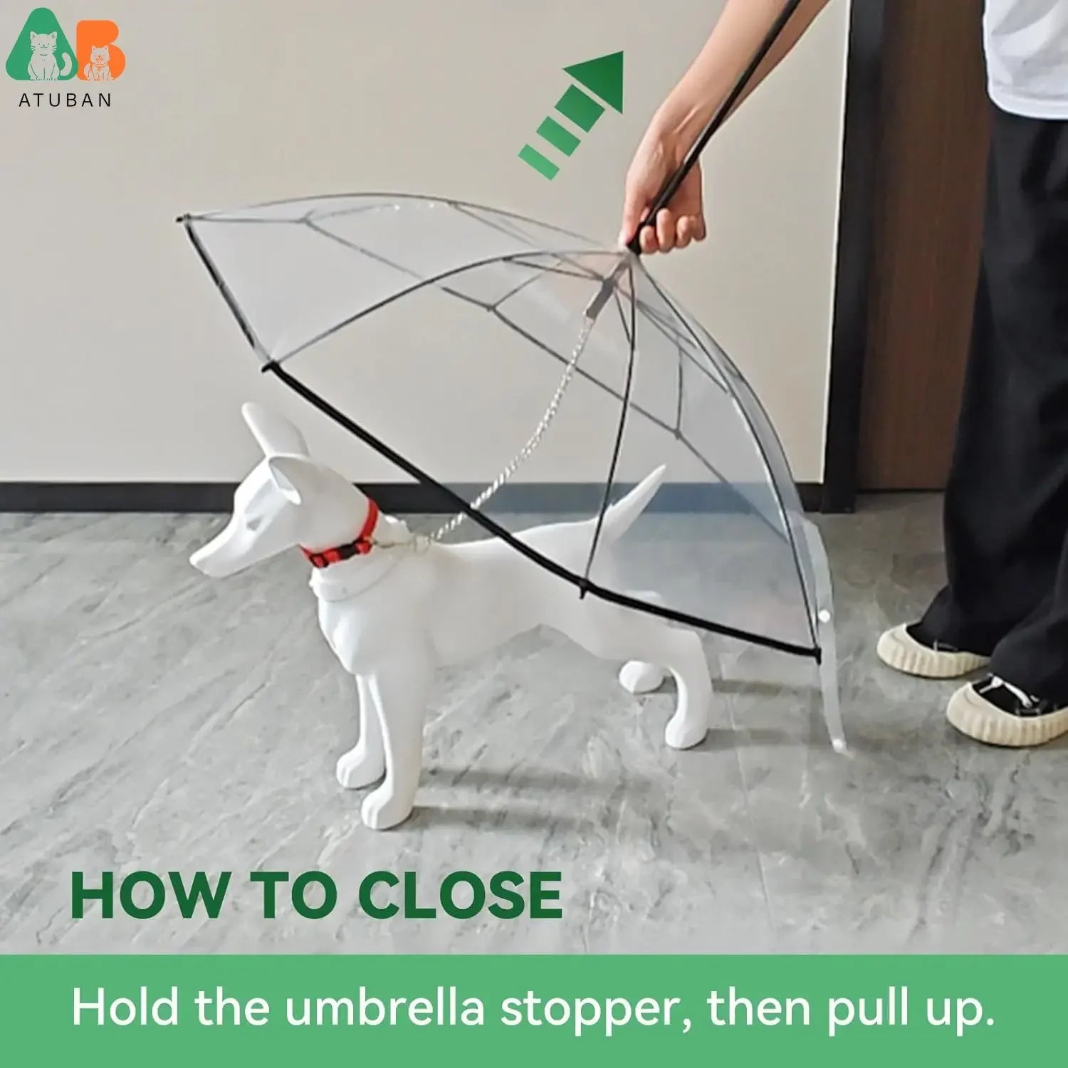 Dog Umbrella with Leash – Clear J-Handle for Small Pets (20" Back Length)