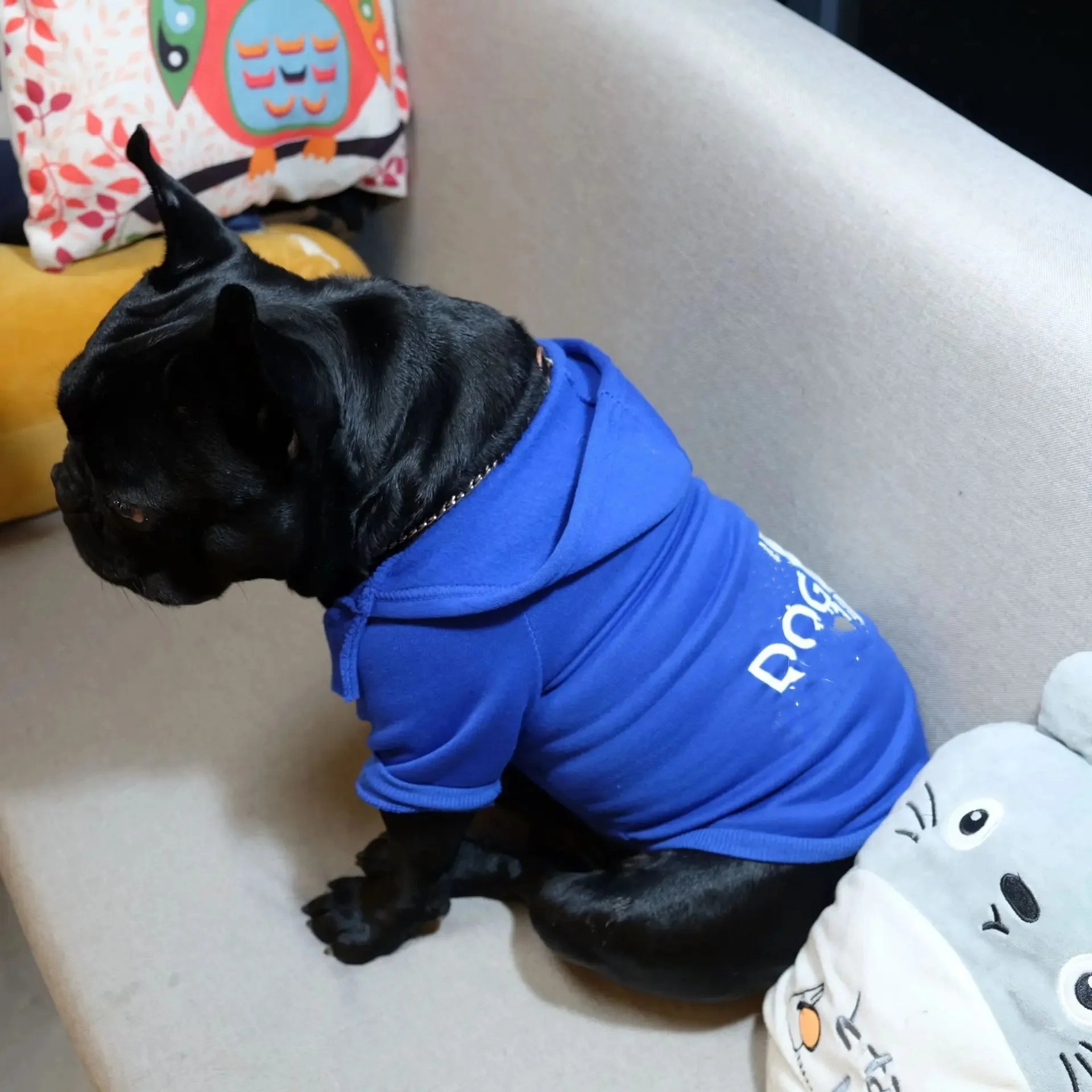 Cozy Pet Hoodie for Large Dogs – Labrador, French Bulldog Autumn Sweater