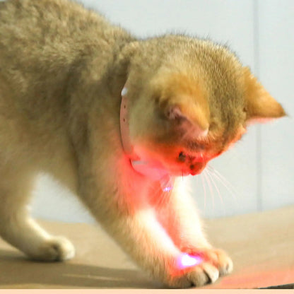 Wearable Cat Laser Pointer Collar – Automatic USB Rechargeable Interactive Toy