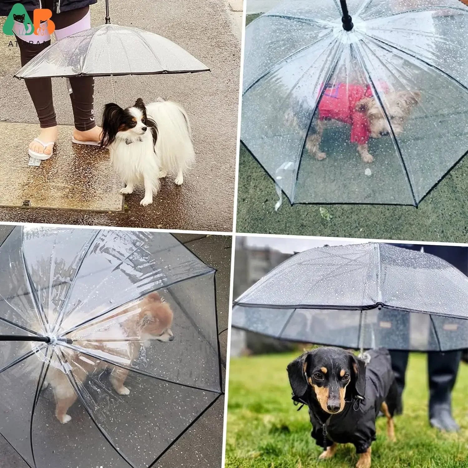 Dog Umbrella with Leash – Clear J-Handle for Small Pets (20" Back Length)