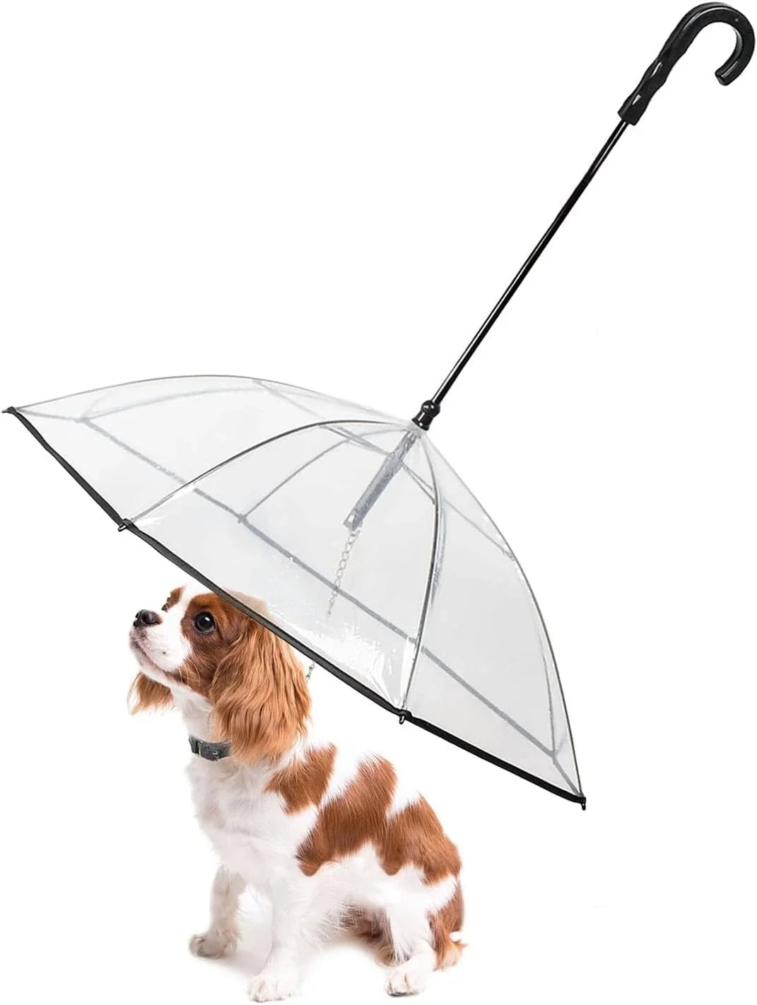 Dog Umbrella with Leash – Clear J-Handle for Small Pets (20" Back Length)