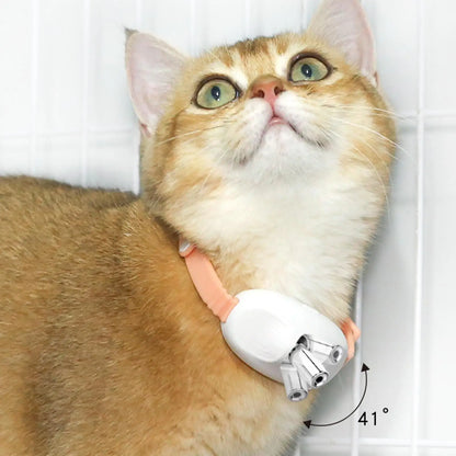 Wearable Cat Laser Pointer Collar – Automatic USB Rechargeable Interactive Toy